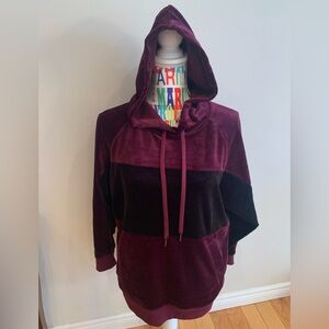 Champion Velvet Maroon Hoodie